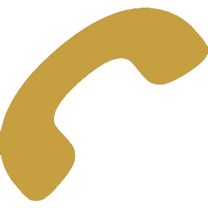 Phone icon